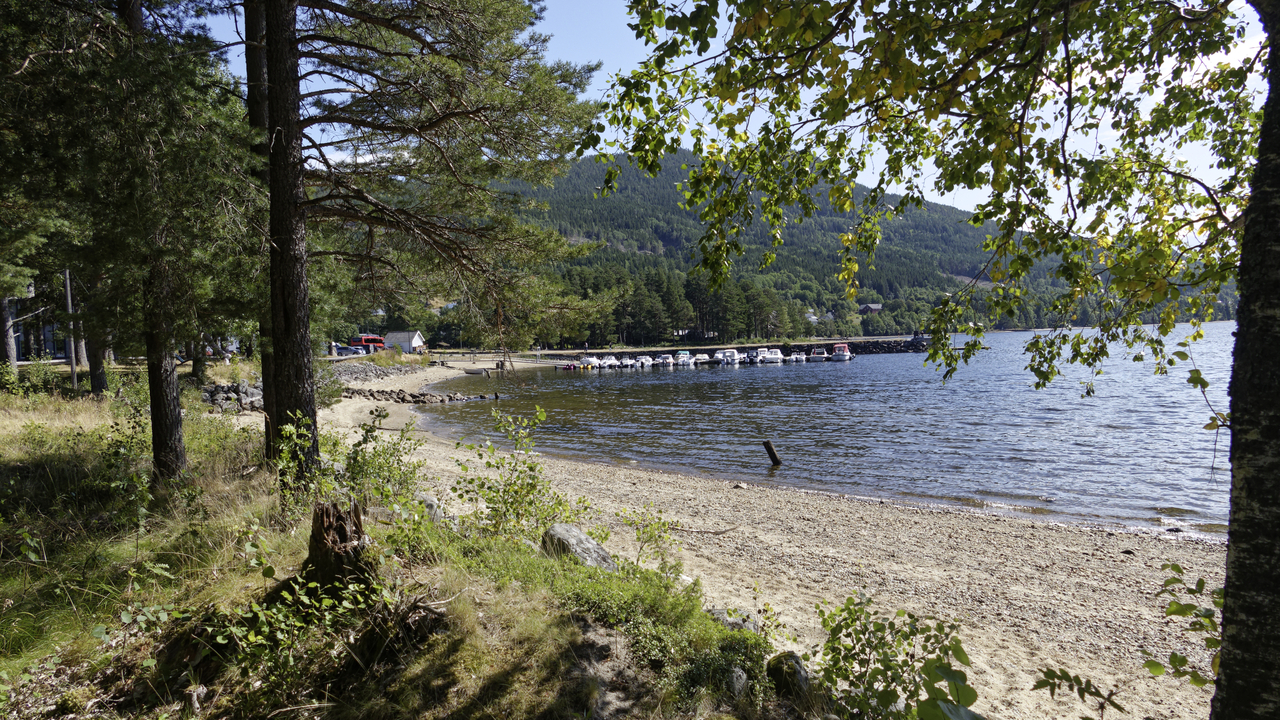 20260817 143320•Tree-Tops•Fyresdal•Telemark•Norway (Alt 331.2 m )
